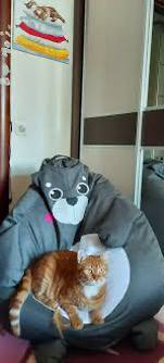 Відгук клієнта 8